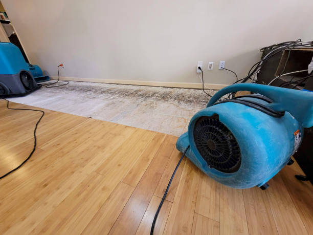 Professional Basement Flood Cleanup technician working in Finley, TN